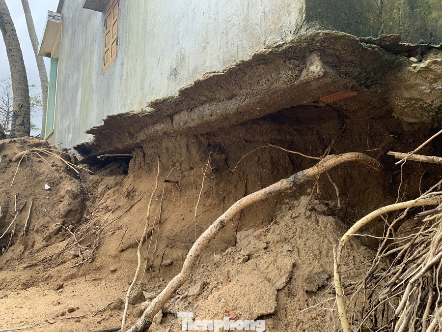 Triều cường 'nuốt' nhiều nhà dân ở vùng ven biển Quảng Ngãi ảnh 8