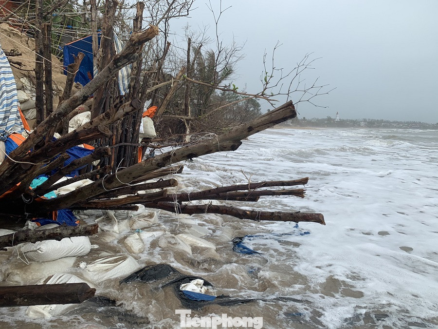 Triều cường 'nuốt' nhiều nhà dân ở vùng ven biển Quảng Ngãi ảnh 1