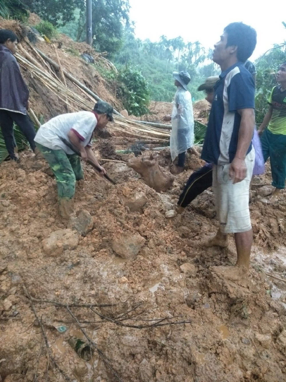 Ảnh hưởng bão số 6: Sạt lở núi chia cắt nhiều tuyến đường, Quảng Ngãi thiệt hại nặng ảnh 1