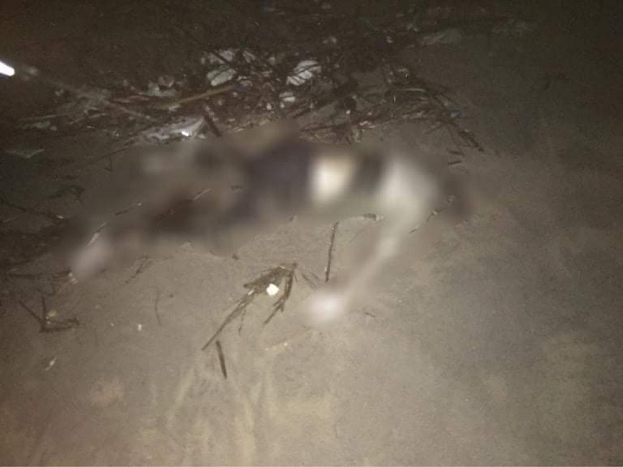 Tìm thấy thi thể thuyền trưởng mất tích sau vụ tàu chìm ở Quảng Nam ảnh 2