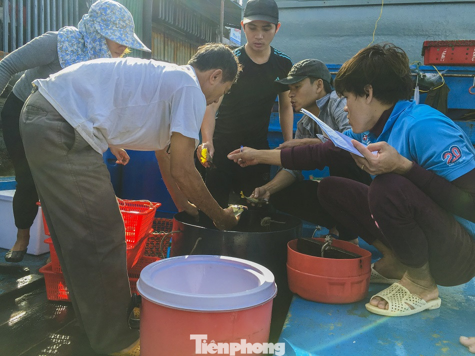 Cá cảnh biển Hoàng Sa, Trường Sa hút khách dịp Tết Nguyên đán ảnh 8