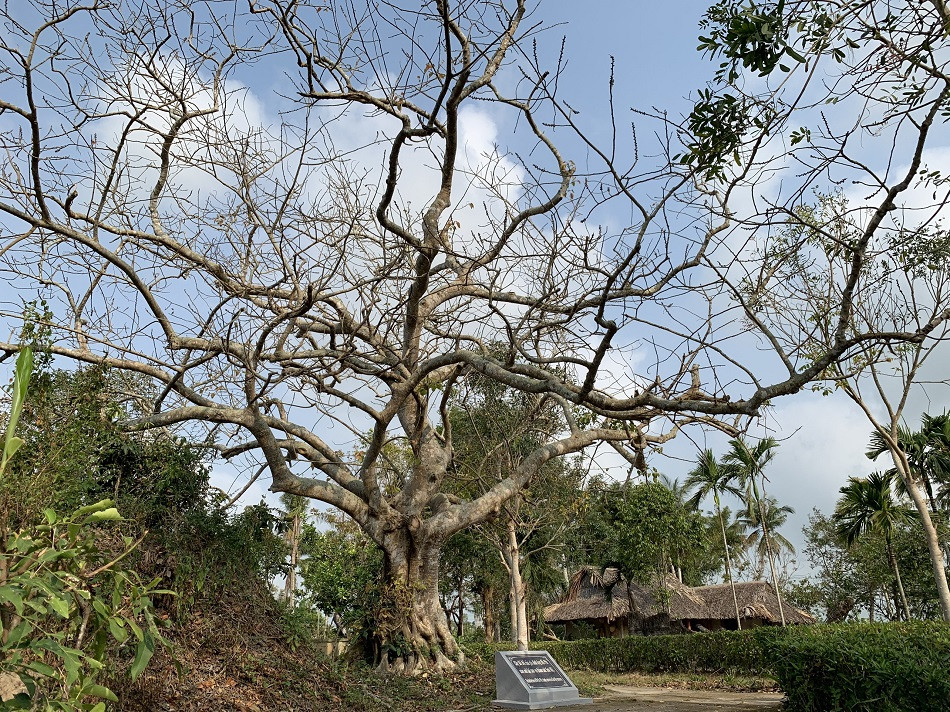 Dâng hương tưởng niệm 53 năm ngày đồng bào Sơn Mỹ bị thảm sát ảnh 16