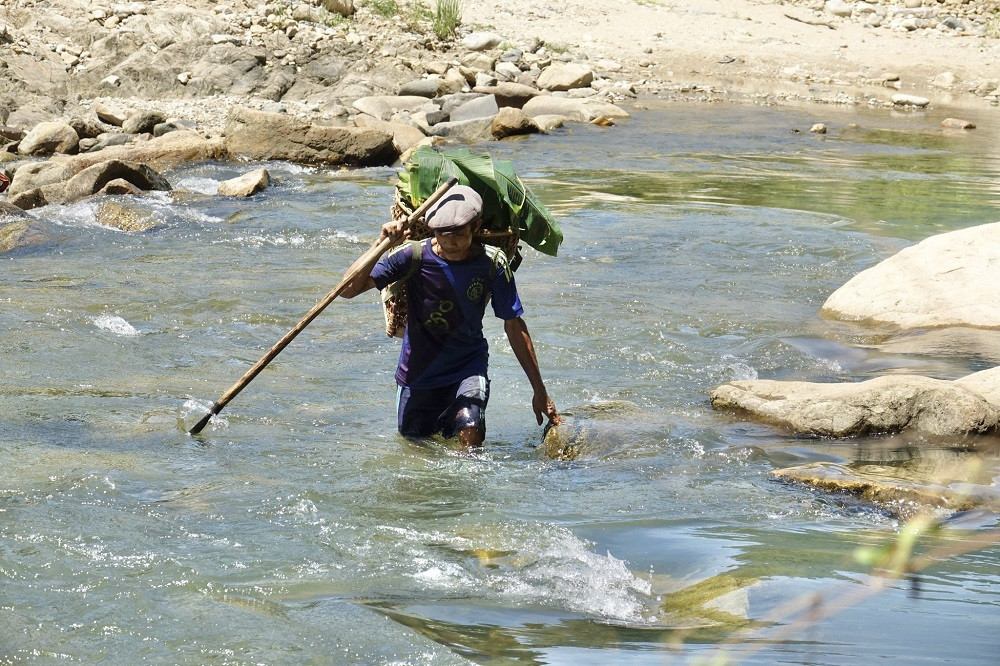 'Người rừng' Hồ Văn Lang sau 7 năm trở về làng ảnh 5