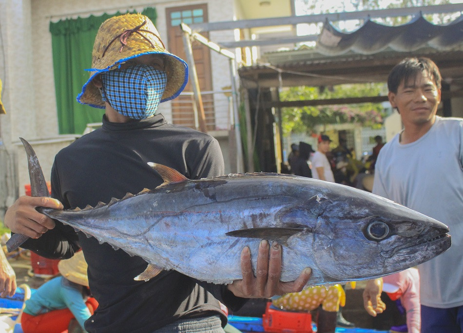 Cảnh ngư dân phấn khởi ra khơi đầu năm lấy lộc ảnh 11 Cảnh ngư dân phấn khởi ra khơi đầu năm lấy lộc ảnh 11