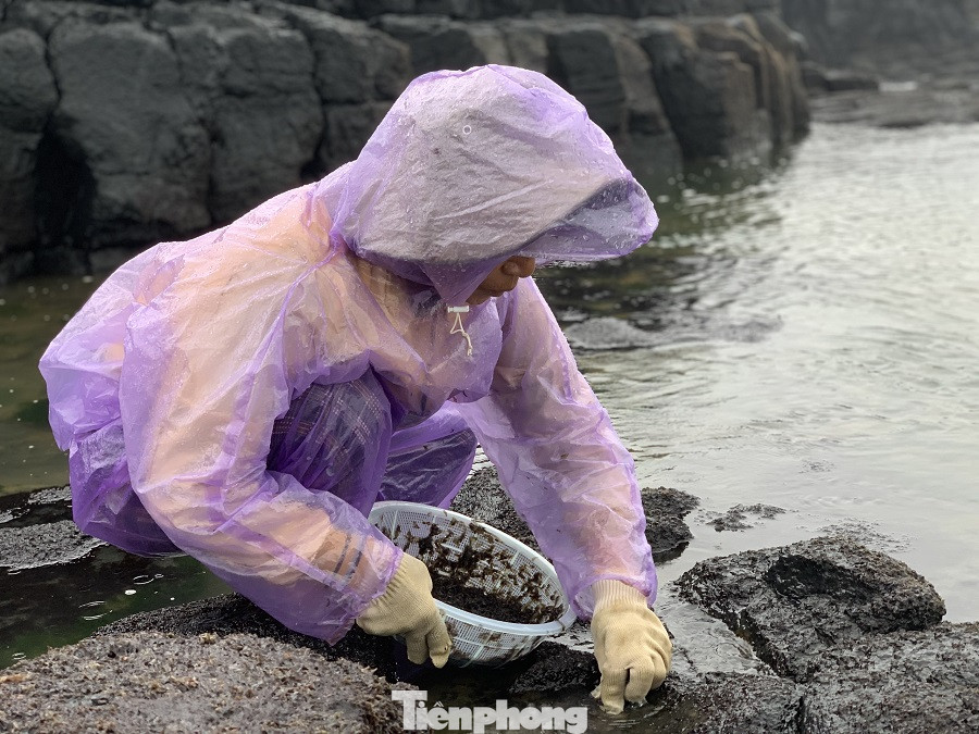  Người dân Quảng Ngãi đội sóng đi hái 'lộc biển' ảnh 5