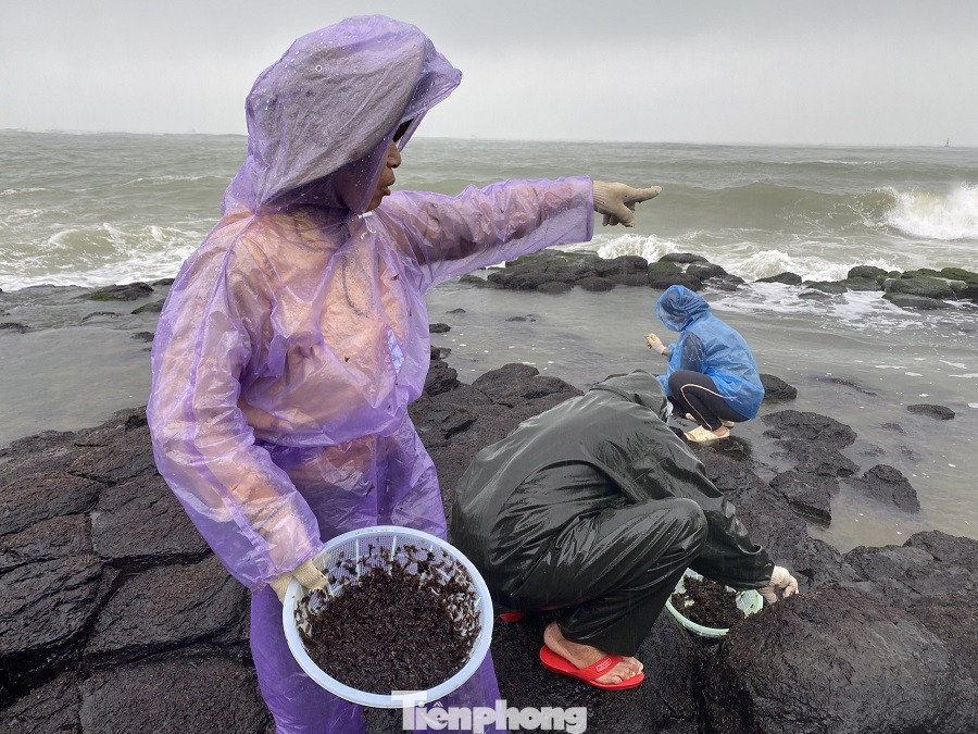  Người dân Quảng Ngãi đội sóng đi hái 'lộc biển' ảnh 7