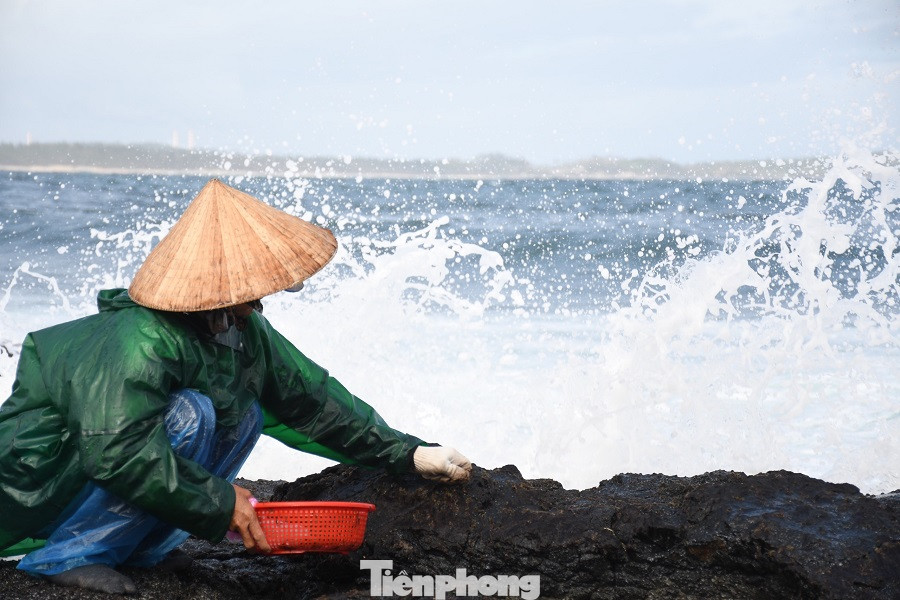  Người dân Quảng Ngãi đội sóng đi hái 'lộc biển' ảnh 1