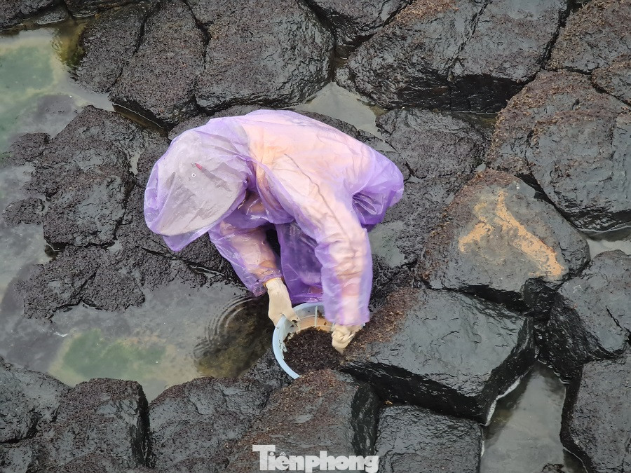  Người dân Quảng Ngãi đội sóng đi hái 'lộc biển' ảnh 10