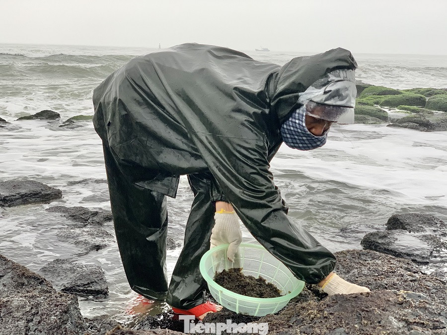  Người dân Quảng Ngãi đội sóng đi hái 'lộc biển' ảnh 4