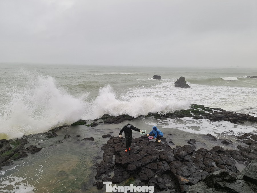  Người dân Quảng Ngãi đội sóng đi hái 'lộc biển' ảnh 2