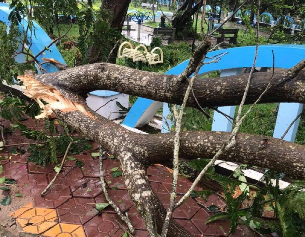 Ảnh hưởng bão số 6: Sạt lở núi chia cắt nhiều tuyến đường, Quảng Ngãi thiệt hại nặng ảnh 7