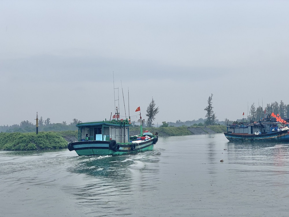 Quảng Ngãi cấm tất cả tàu thuyền ra khơi từ lúc 13 giờ chiều nay ảnh 1