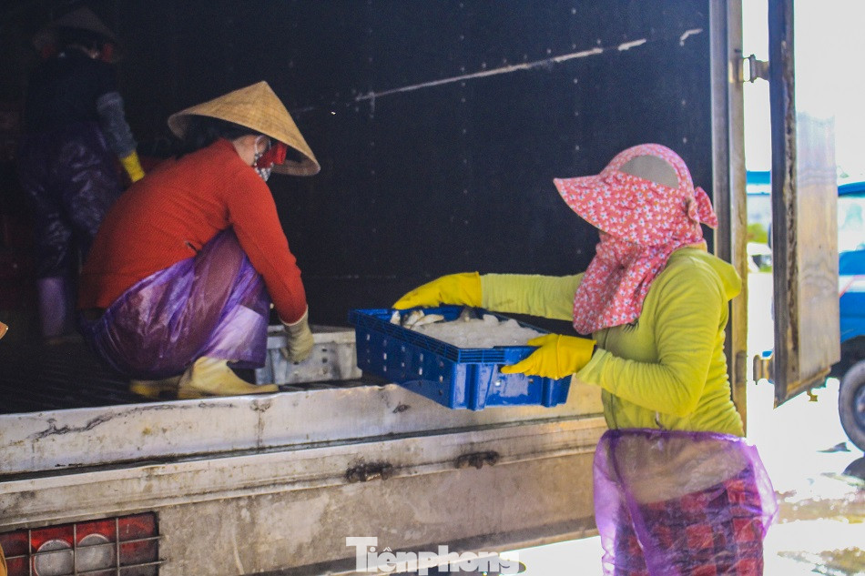 Ngư dân Quảng Ngãi trúng đậm sau chuyến biển xuyên Tết ảnh 14