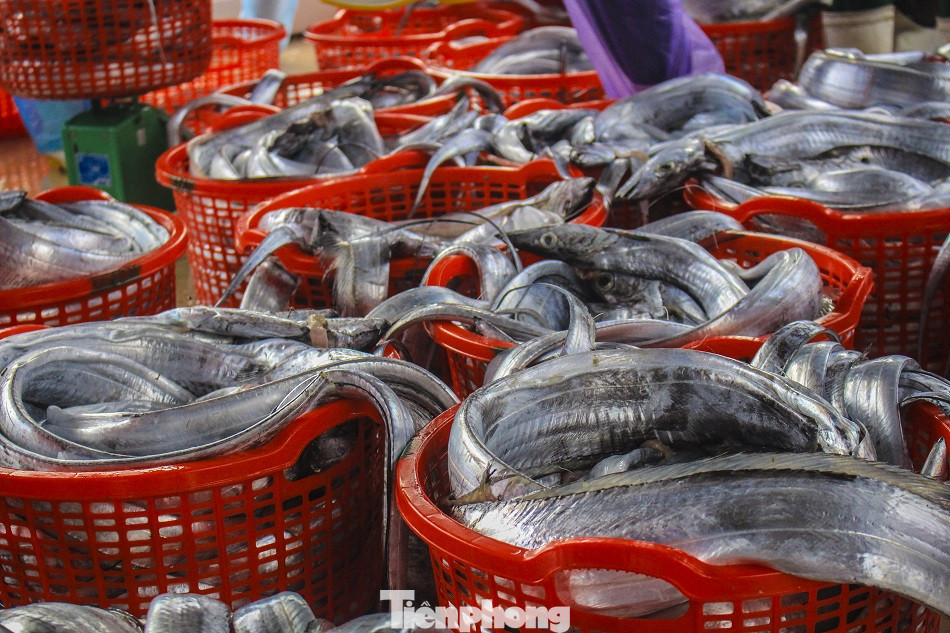 Ngư dân Quảng Ngãi trúng đậm sau chuyến biển xuyên Tết ảnh 4