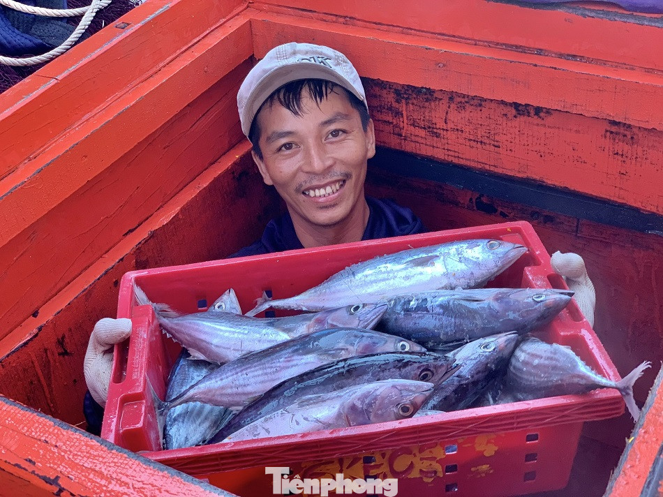 Ngư dân Quảng Ngãi trúng đậm sau chuyến biển xuyên Tết ảnh 15