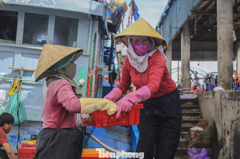 Ngư dân Quảng Ngãi trúng đậm sau chuyến biển xuyên Tết ảnh 13