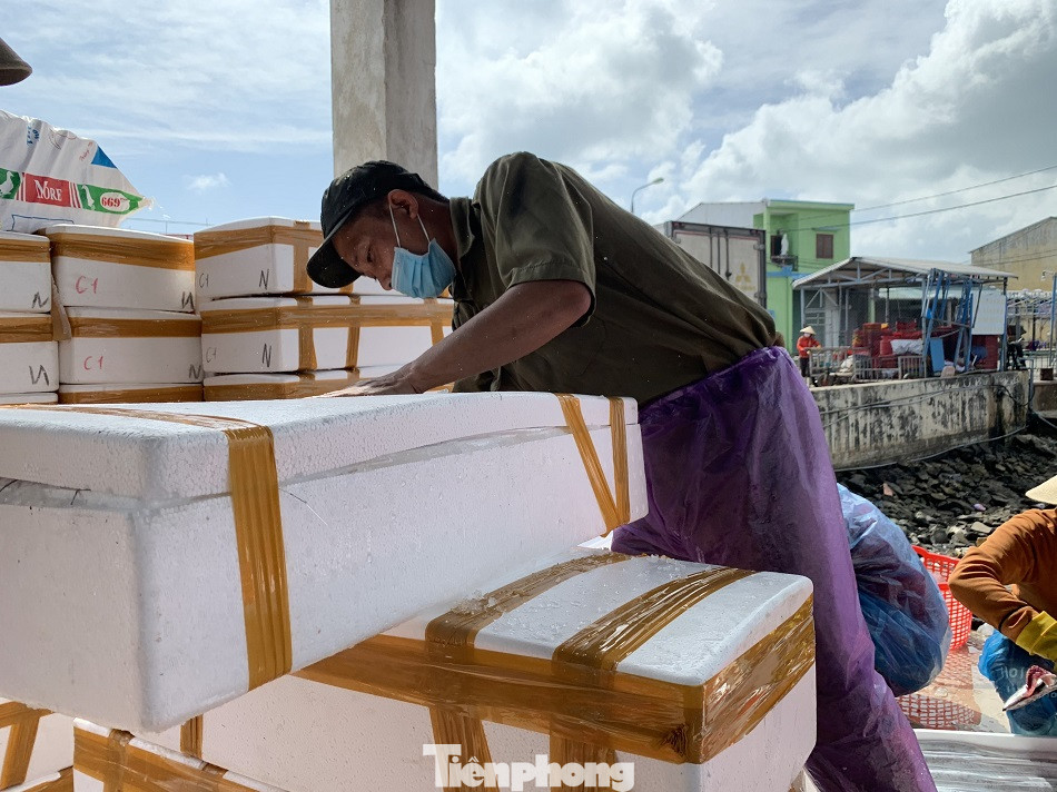 Ngư dân Quảng Ngãi trúng đậm sau chuyến biển xuyên Tết ảnh 10