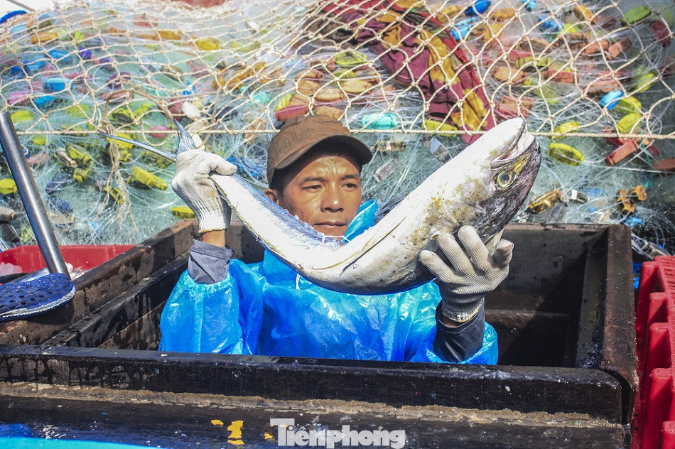 Ngư dân Quảng Ngãi trúng đậm sau chuyến biển xuyên Tết ảnh 17