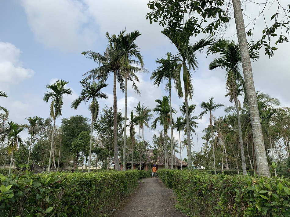 Dâng hương tưởng niệm 53 năm ngày đồng bào Sơn Mỹ bị thảm sát ảnh 7