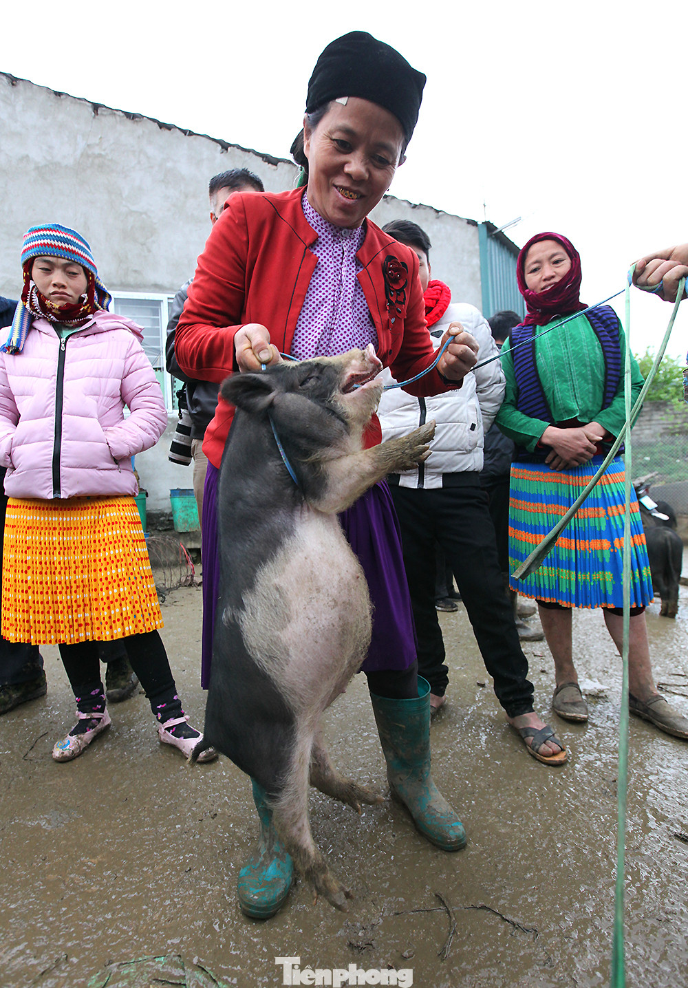 Cách chọn mua lợn 'có một không hai' ở chợ phiên Mèo Vạc ảnh 11