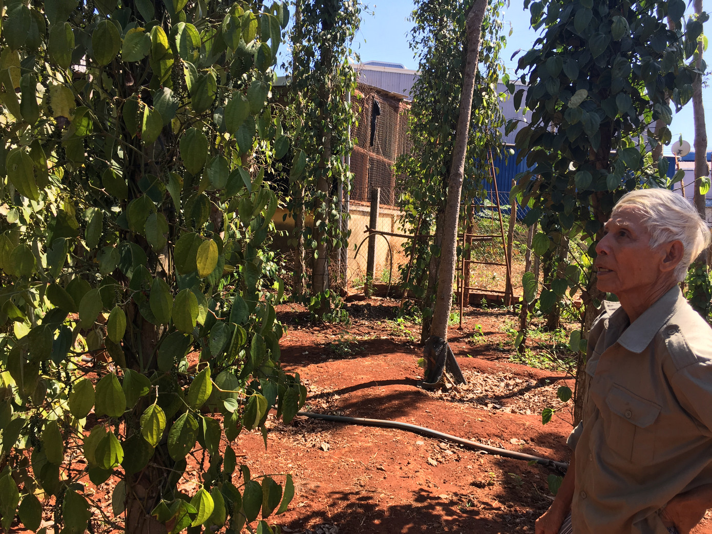 Sau cơn 'sốt đất' bất thường, Bình Ba trở về vắng lặng ảnh 1