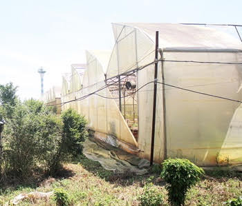 Vì sao nguyên Giám đốc Sở Khoa học Đồng Nai bị khai trừ Đảng? ảnh 1