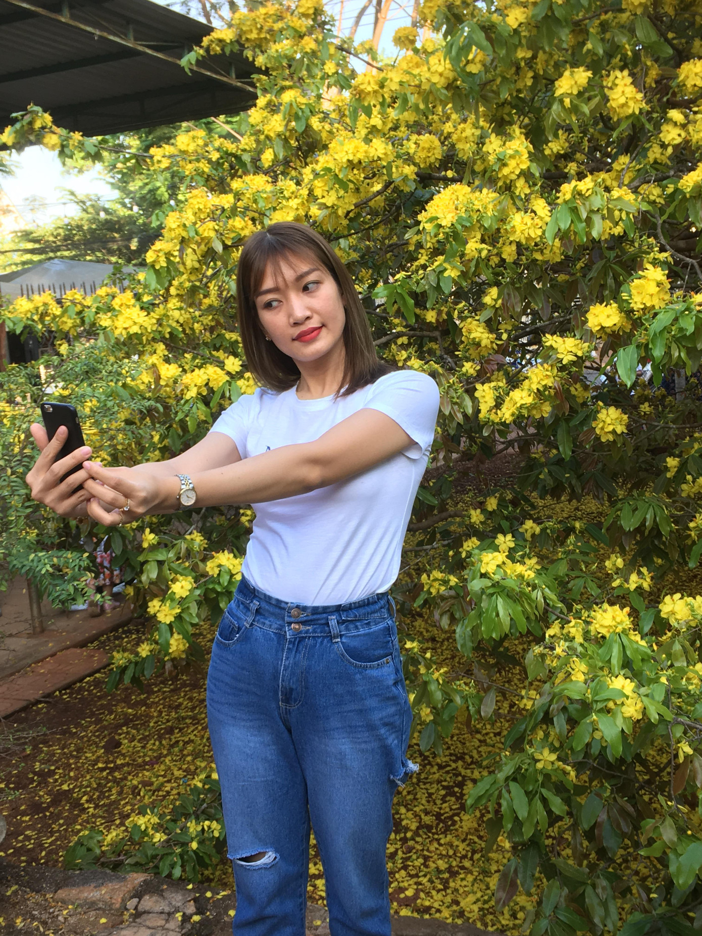 'Cụ' mai vàng đón hàng ngàn khách tham quan 3 ngày Tết ảnh 4