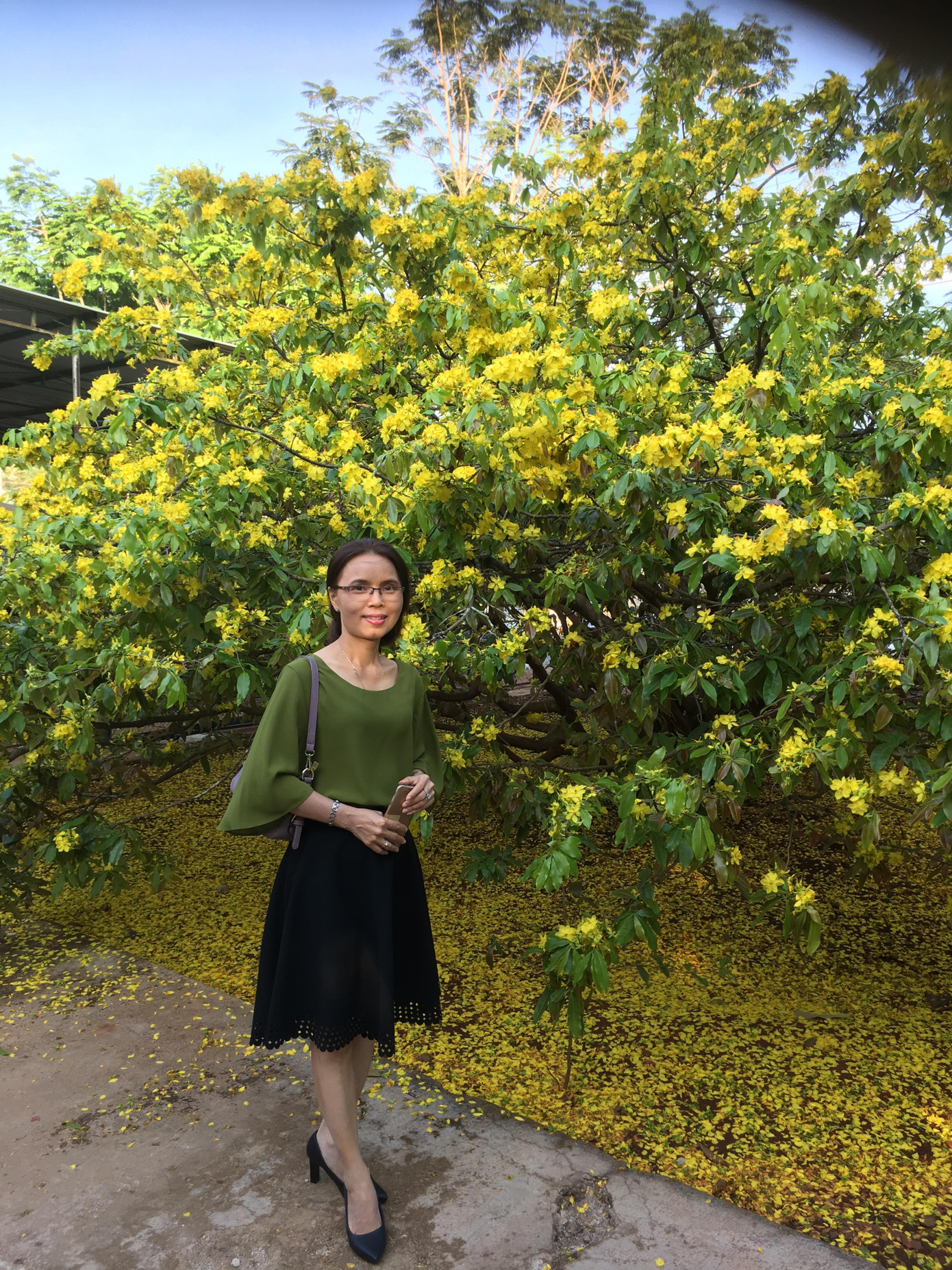 'Cụ' mai vàng đón hàng ngàn khách tham quan 3 ngày Tết ảnh 3