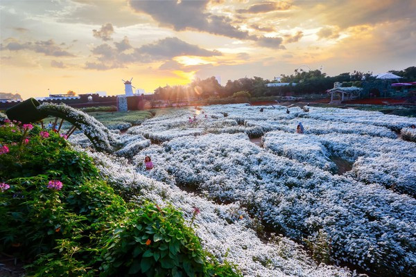 Sai phạm đất đai tràn lan ở 'Thung lũng hoa Hồ Tây' ảnh 2