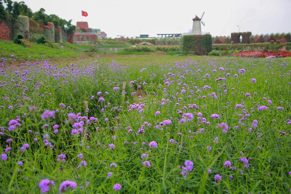 Sai phạm đất đai tràn lan ở 'Thung lũng hoa Hồ Tây' ảnh 3