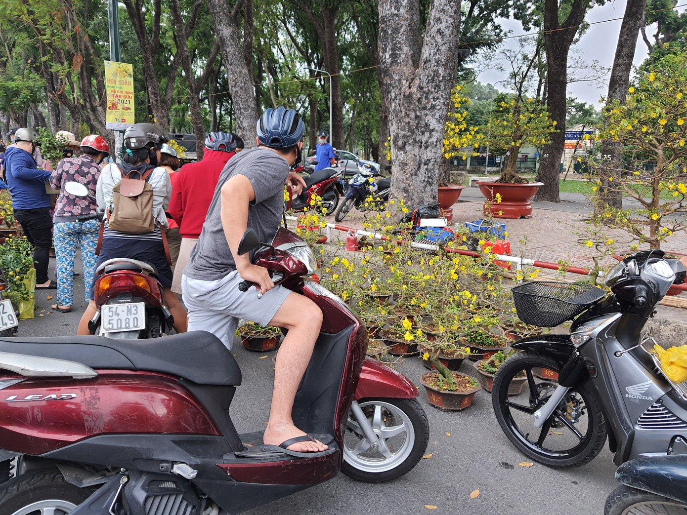 Cây kiểng tràn xuống lòng đường chào mời khách chiều 30 Tết ảnh 8