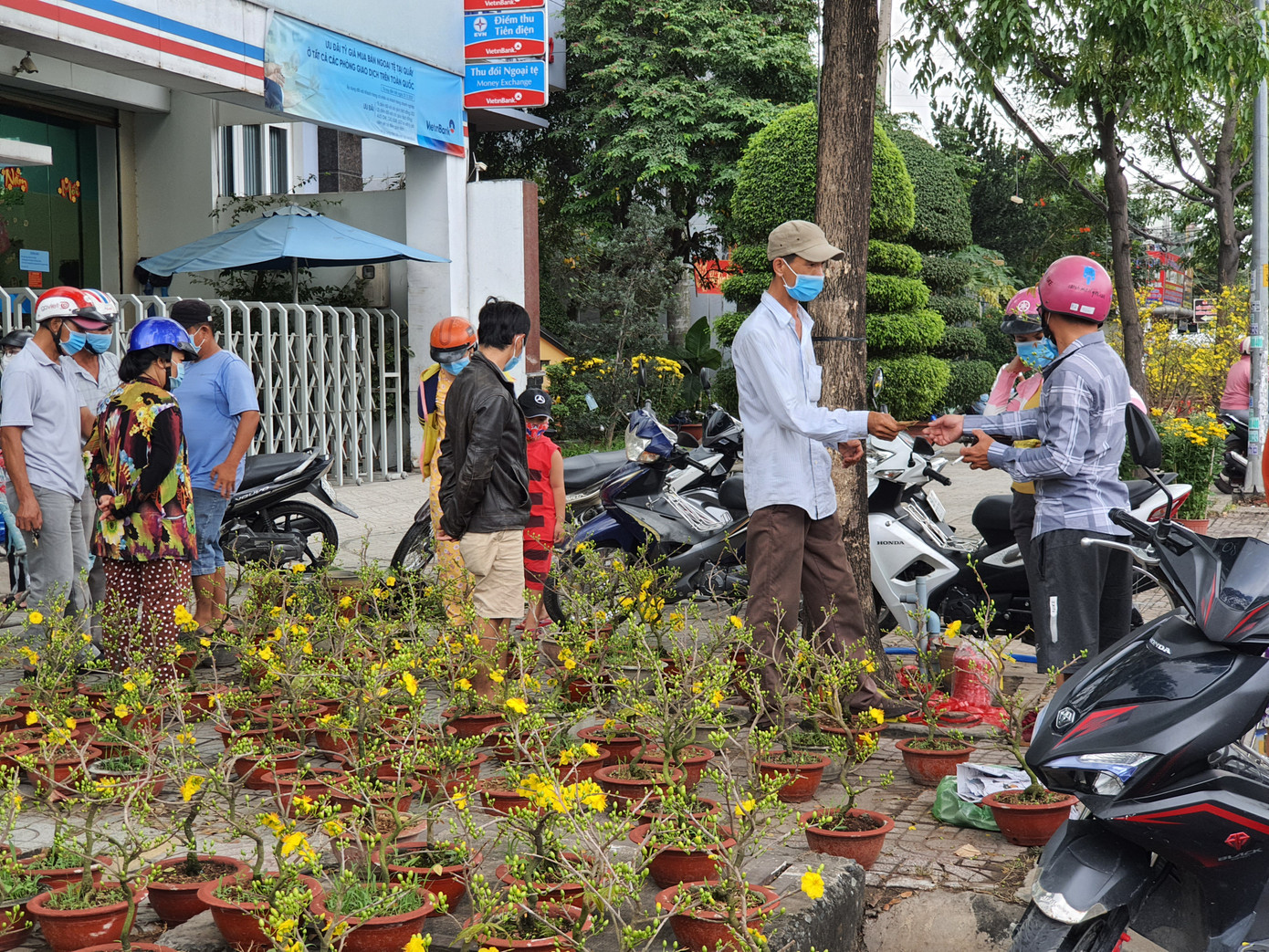 TPHCM: Chợ hoa Hồ Thị Kỷ 'xả hàng' kéo khách ảnh 24