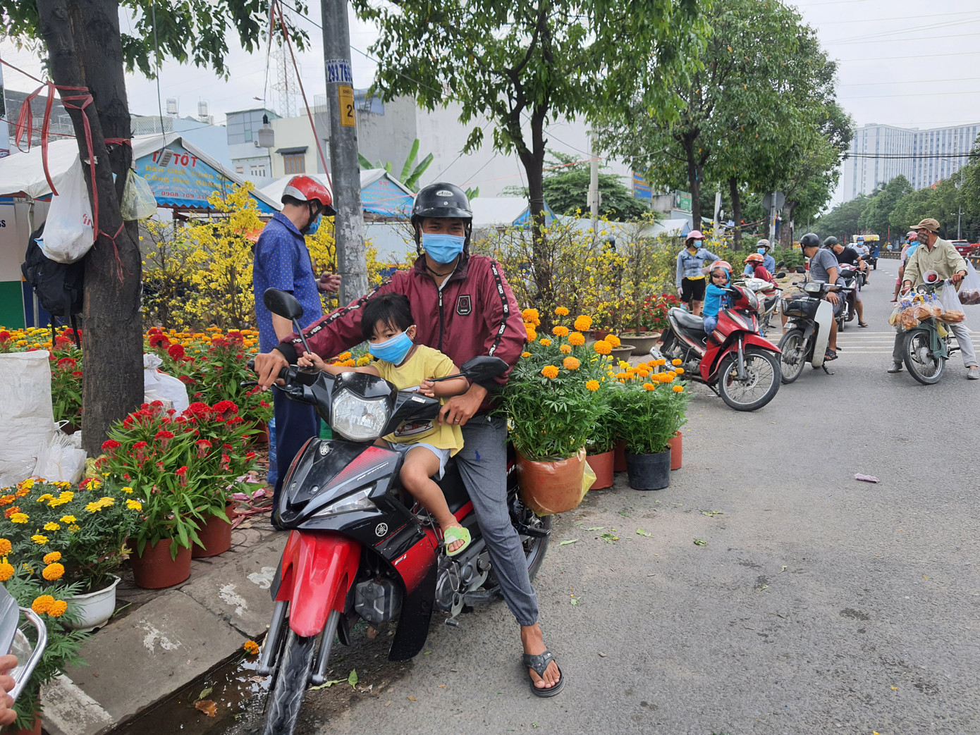 TPHCM: Chợ hoa Hồ Thị Kỷ 'xả hàng' kéo khách ảnh 17
