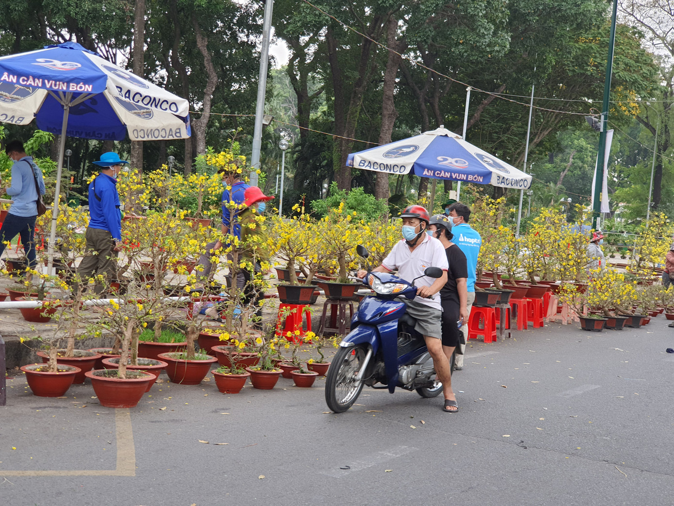 Cây kiểng tràn xuống lòng đường chào mời khách chiều 30 Tết ảnh 5