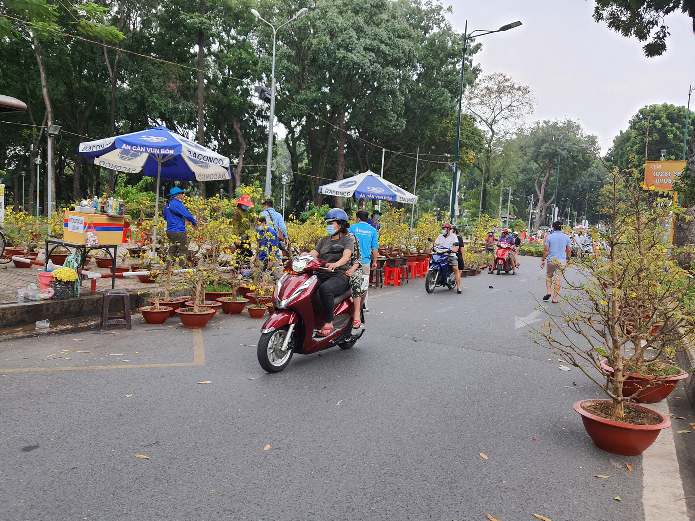 Cây kiểng tràn xuống lòng đường chào mời khách chiều 30 Tết ảnh 7