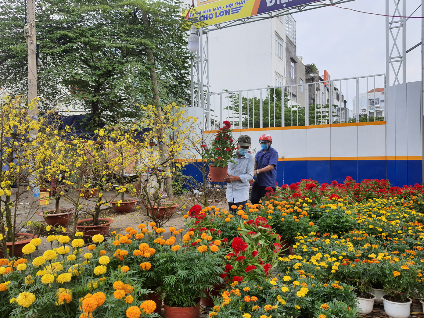 TPHCM: Chợ hoa Hồ Thị Kỷ 'xả hàng' kéo khách ảnh 19