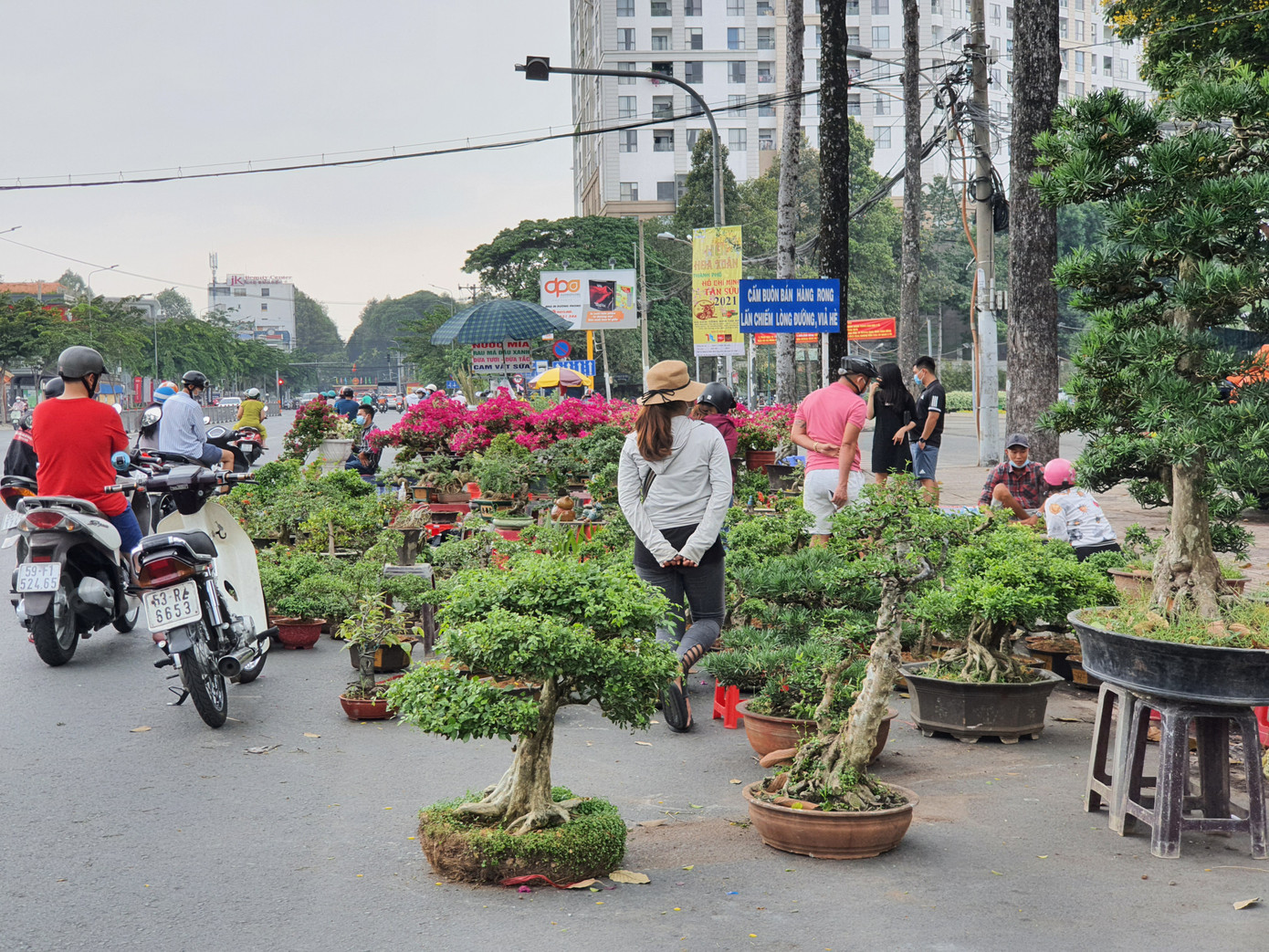 Cây kiểng tràn xuống lòng đường chào mời khách chiều 30 Tết ảnh 10