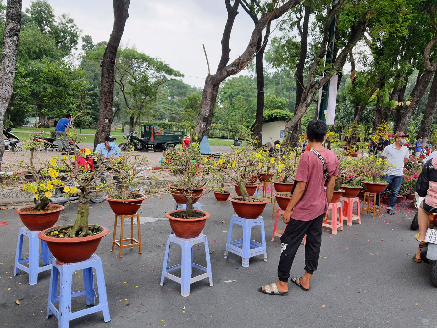 Cây kiểng tràn xuống lòng đường chào mời khách chiều 30 Tết ảnh 9