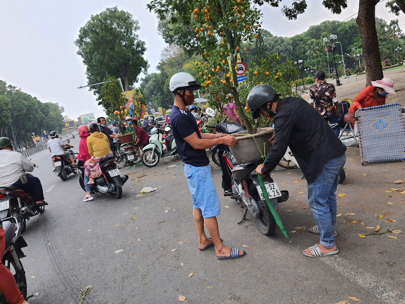 Cây kiểng tràn xuống lòng đường chào mời khách chiều 30 Tết ảnh 2