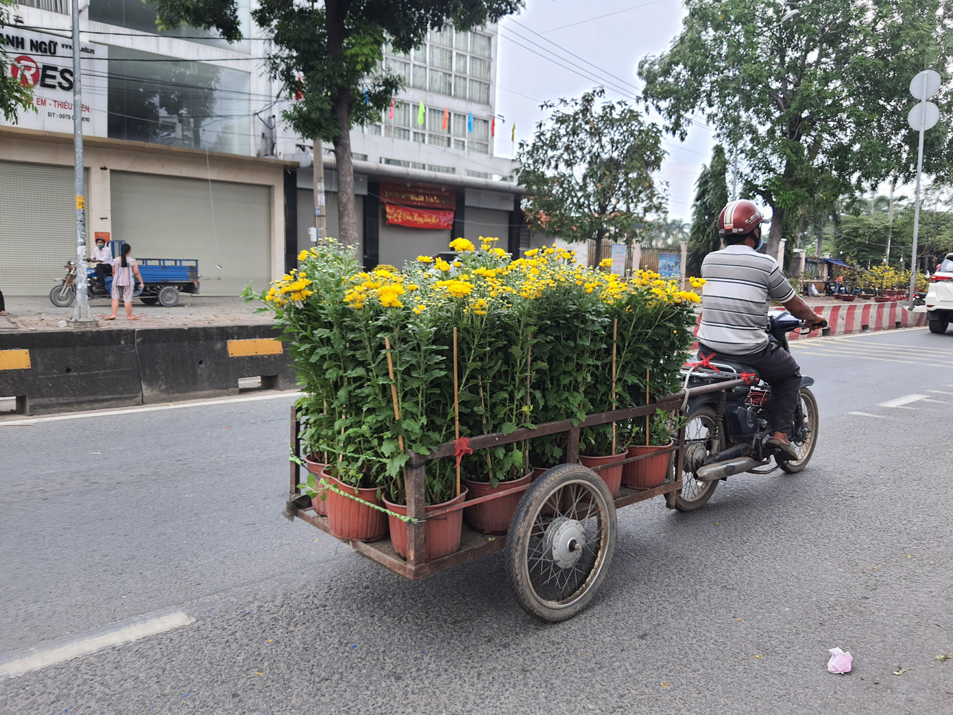 TPHCM: Chợ hoa Hồ Thị Kỷ 'xả hàng' kéo khách ảnh 23
