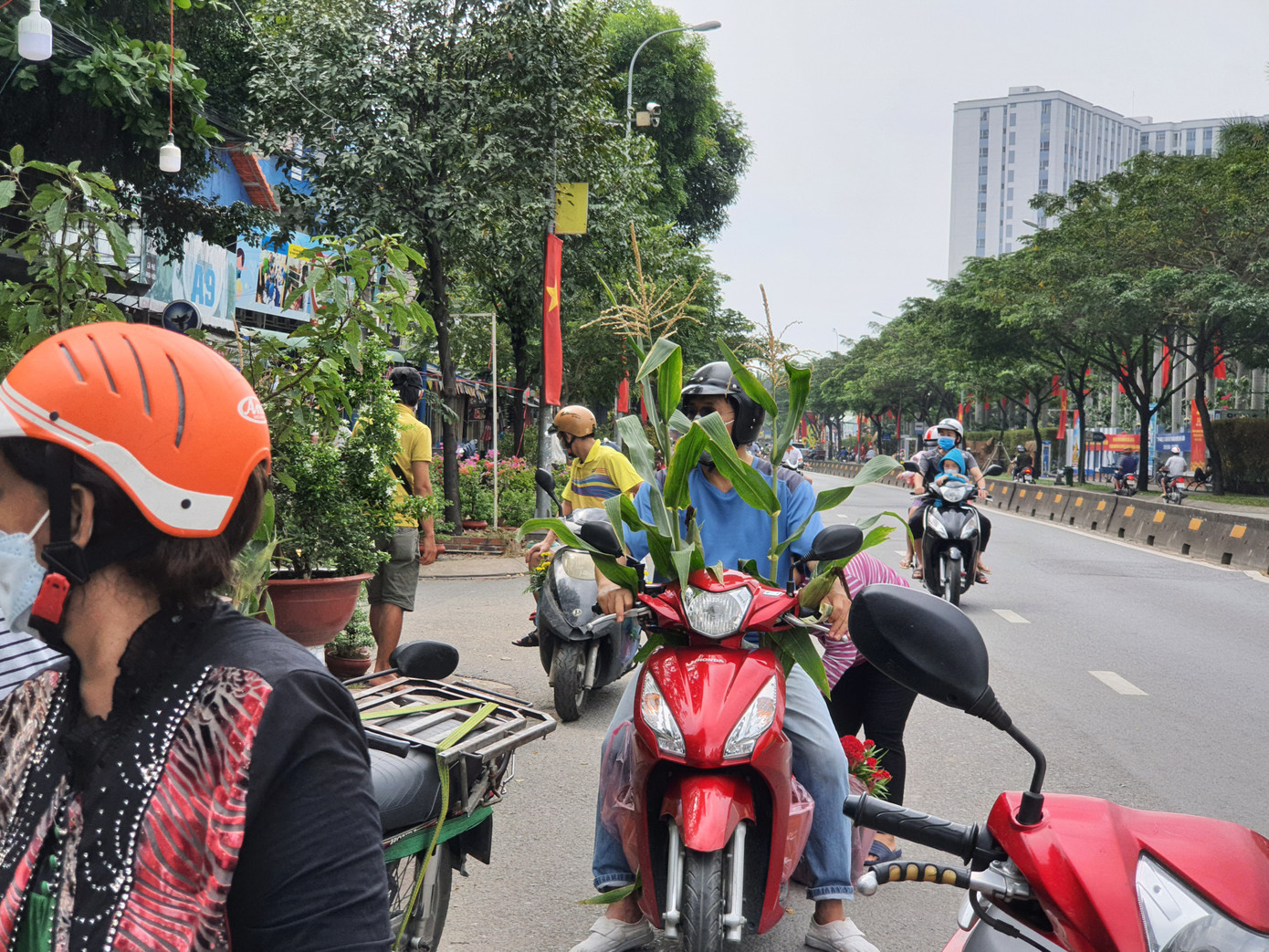 TPHCM: Chợ hoa Hồ Thị Kỷ 'xả hàng' kéo khách ảnh 15