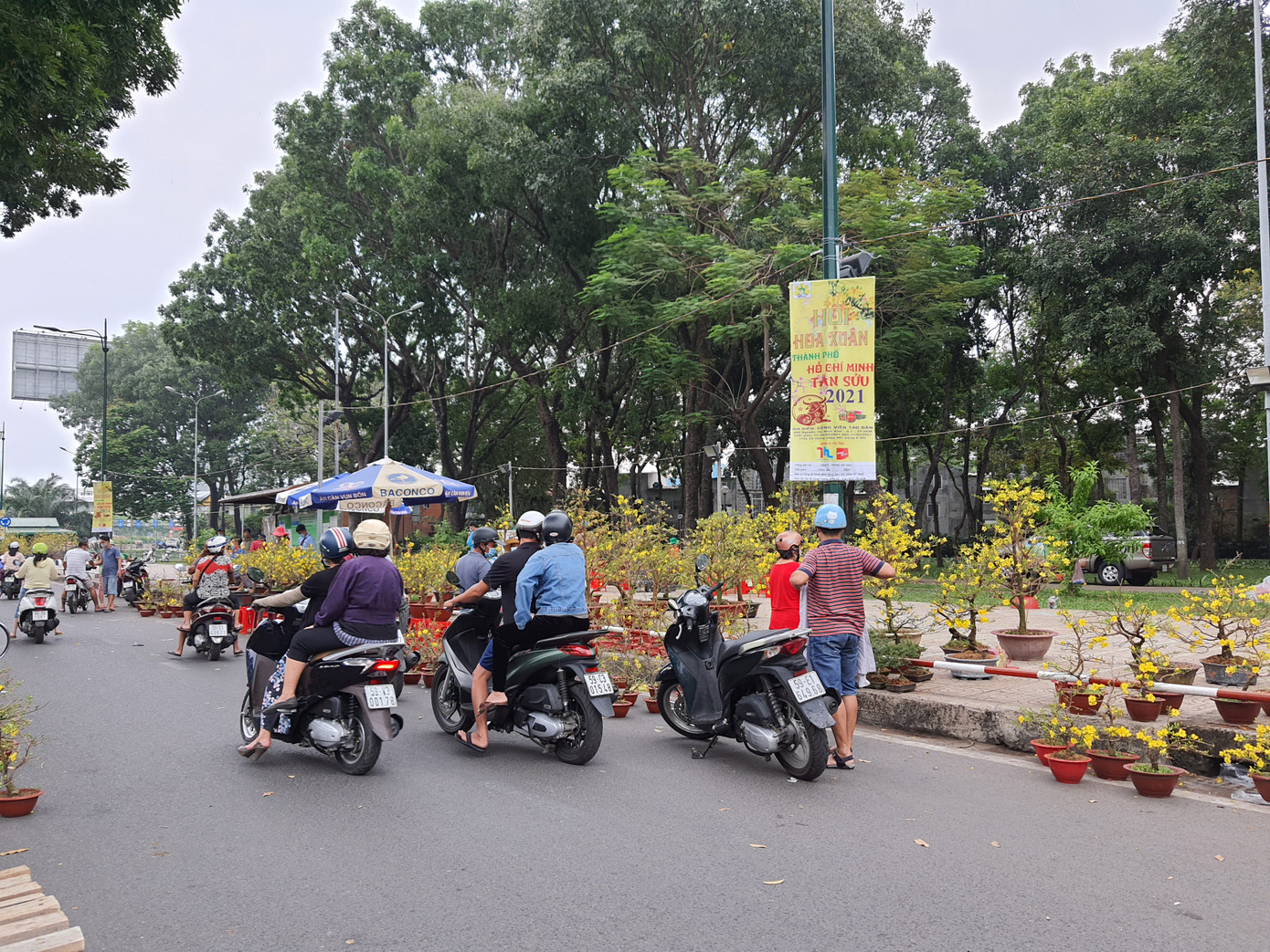 Cây kiểng tràn xuống lòng đường chào mời khách chiều 30 Tết ảnh 4