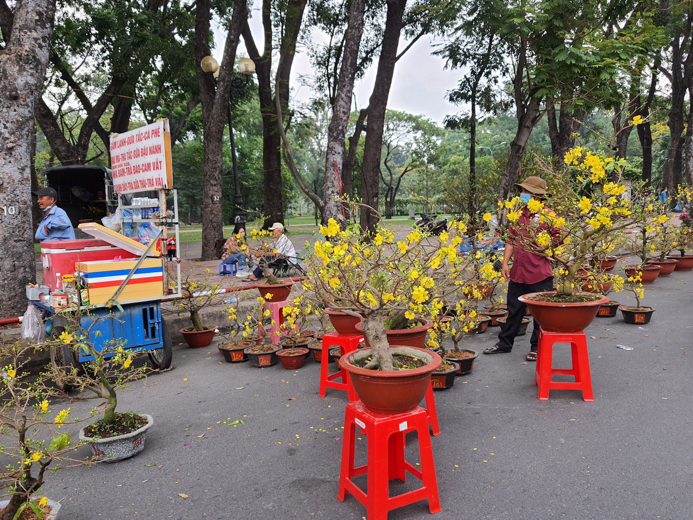Cây kiểng tràn xuống lòng đường chào mời khách chiều 30 Tết ảnh 3