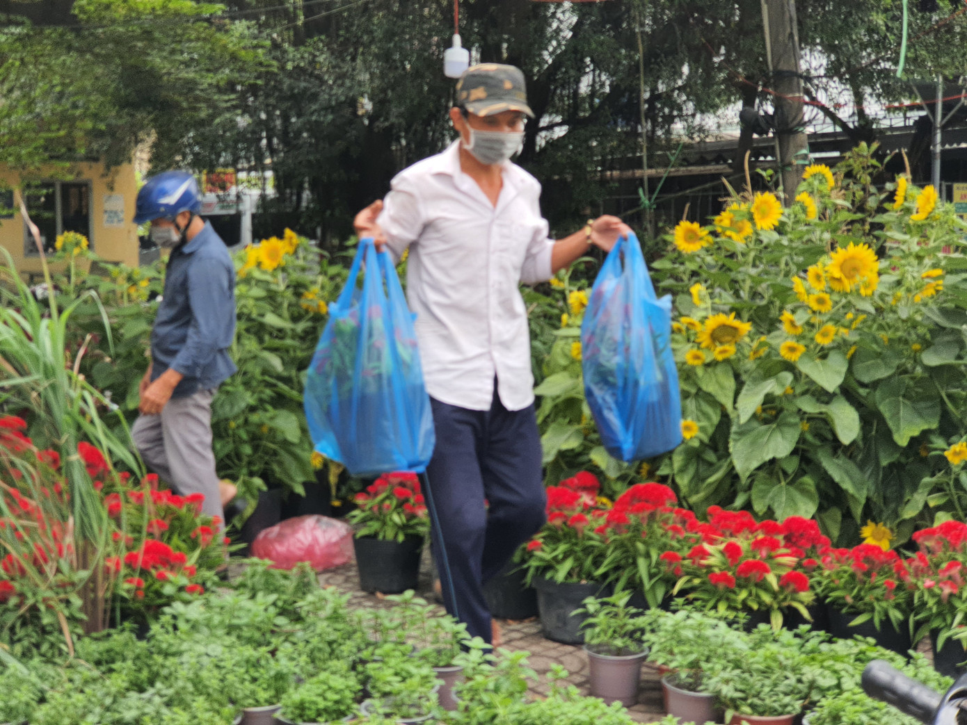TPHCM: Chợ hoa Hồ Thị Kỷ 'xả hàng' kéo khách ảnh 14