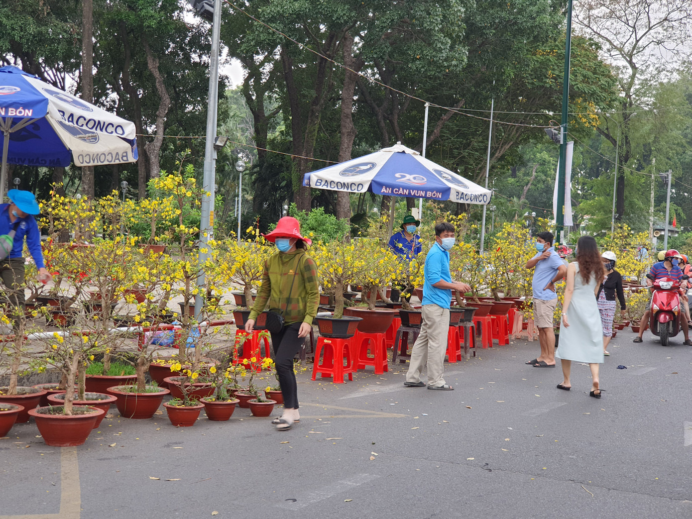 Cây kiểng tràn xuống lòng đường chào mời khách chiều 30 Tết ảnh 6