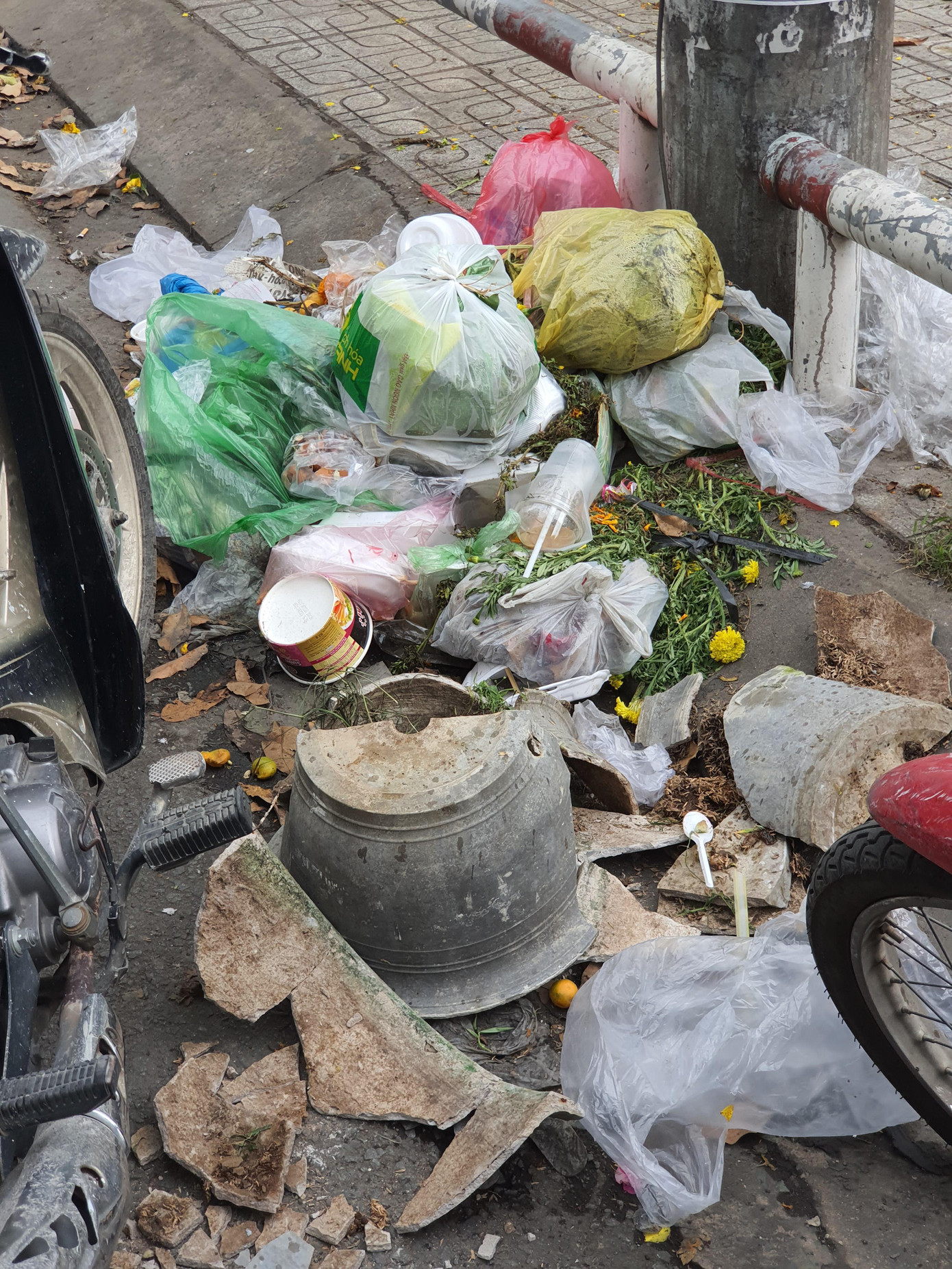 Cây kiểng tràn xuống lòng đường chào mời khách chiều 30 Tết ảnh 12