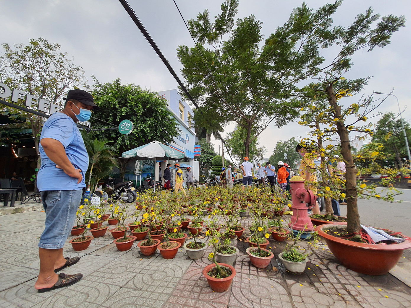 TPHCM: Chợ hoa Hồ Thị Kỷ 'xả hàng' kéo khách ảnh 22