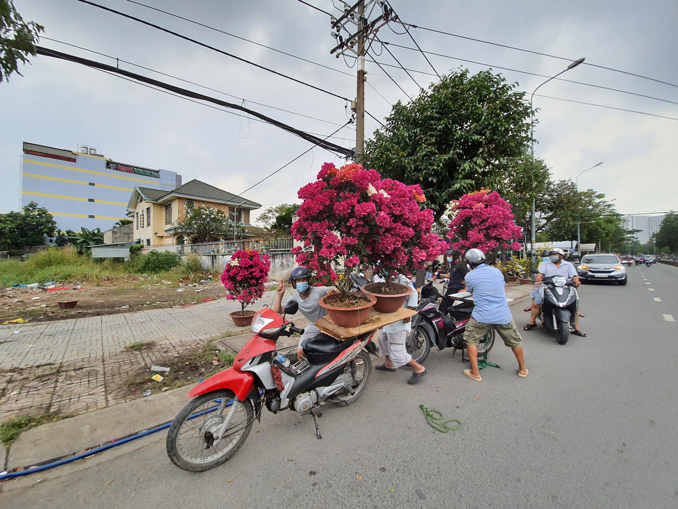 TPHCM: Chợ hoa Hồ Thị Kỷ 'xả hàng' kéo khách ảnh 25
