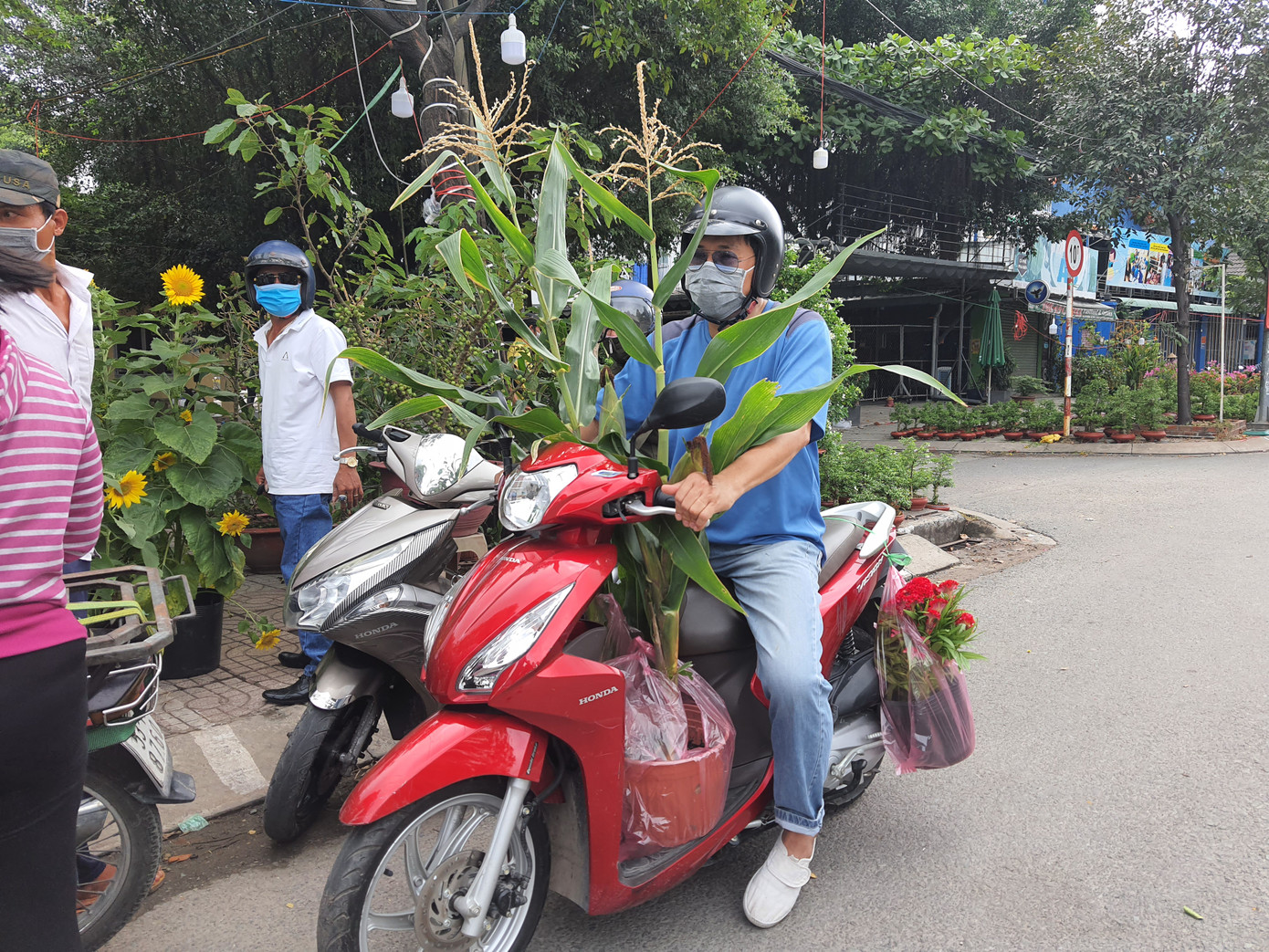 TPHCM: Chợ hoa Hồ Thị Kỷ 'xả hàng' kéo khách ảnh 16