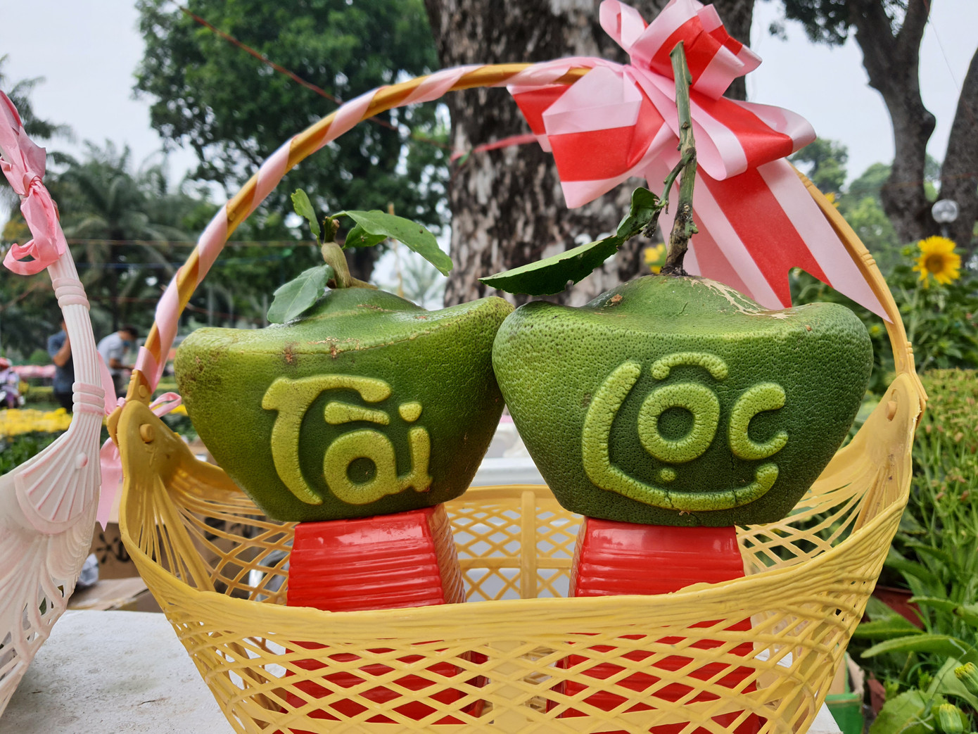 Bưởi Tài Lộc, dừa hồ lô độc đáo tiền triệu thu hút khách chơi Tết ảnh 7